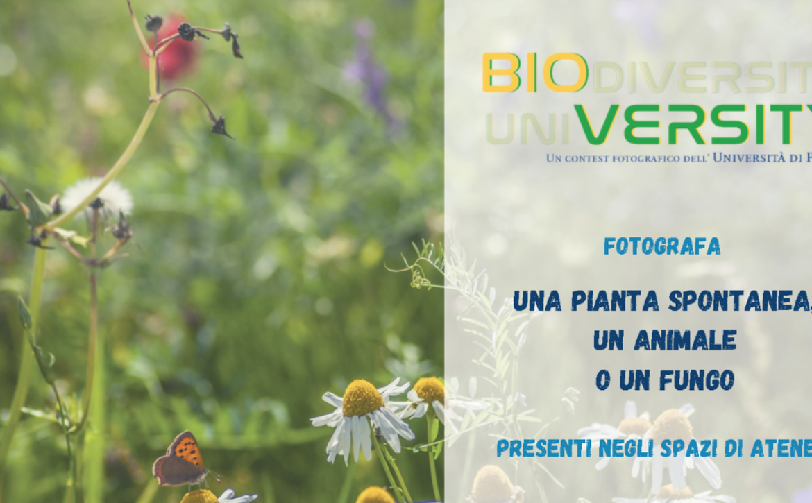 slide per slideshow sito unipi sostenibile bioversity