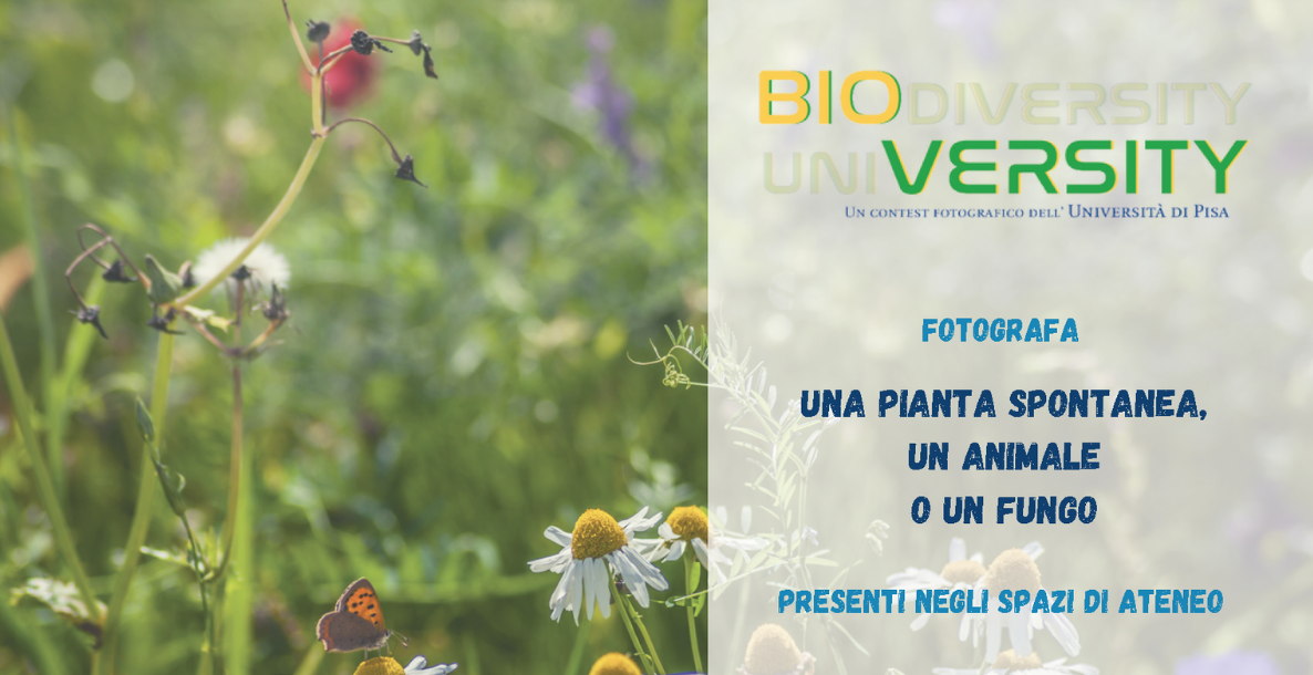 slide per slideshow sito unipi sostenibile bioversity