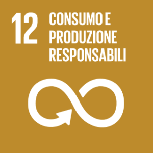SDG-12-consumo